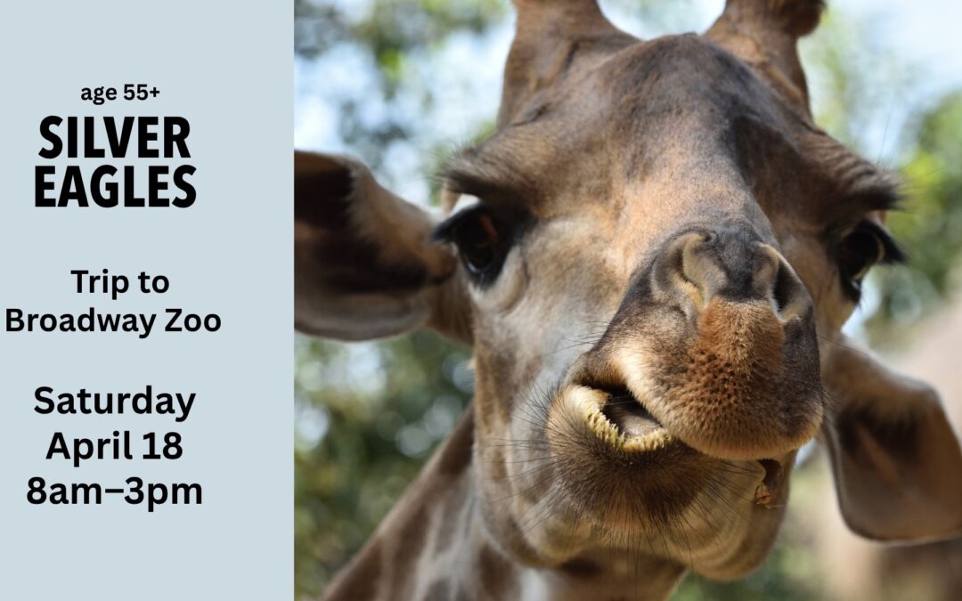 Silver Eagles: Broadway Zoo